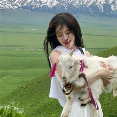 霸权长存 在线观看封面