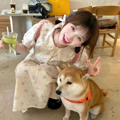 仲夏夜绮梦 在线观看封面
